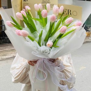 Bó Hoa 20 bông Tulips hồng
