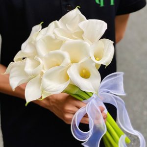Hoa Cưới - My Destiny