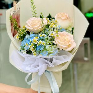 Mây Sớm