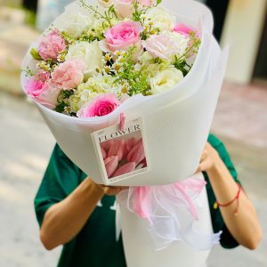 Rosy Melody