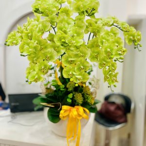 Chậu Lan Hồ Điệp Giả Màu Xanh Táo Mang Lại Thịnh Vượng Cho Gia Chủ