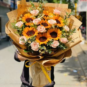 Hạt Nắng