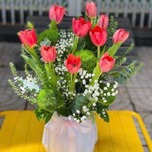 Ruby Tulips – Thanh Xuân Rực Rỡ