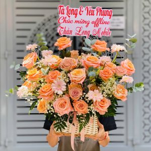 Peach Harmony