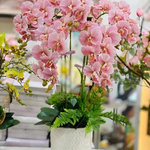 Chậu hồ điệp GIẢ 5 cành - Màu Xoăn Hồng Thanh Lịch & Tinh Tế