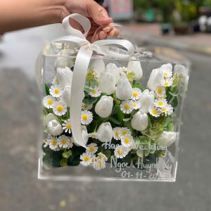 Hộp Mica Hoa Tulip Caosu, Món Quà Ý Nghĩa MS911 – Size 27x24x14cm