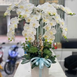 Chậu hồ điệp GIẢ 8 cành – Màu Trắng thanh lịch, sang trọng