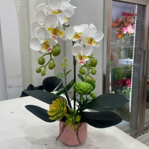 [HOA GIẢ] Chậu hồ điệp mini – 1 cành mini (màu chậu ngẫu nhiên) – HDG03