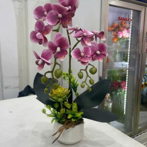 [HOA GIẢ] Chậu hồ điệp mini - 1 cành mini (màu chậu ngẫu nhiên) - HDG00