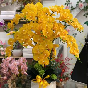 [Hoa Lụa] Chậu hồ điệp lụa 10 cành - Sắc Vàng Phú Quý