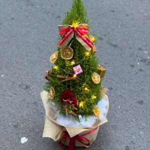 Cây Thông Noel 2